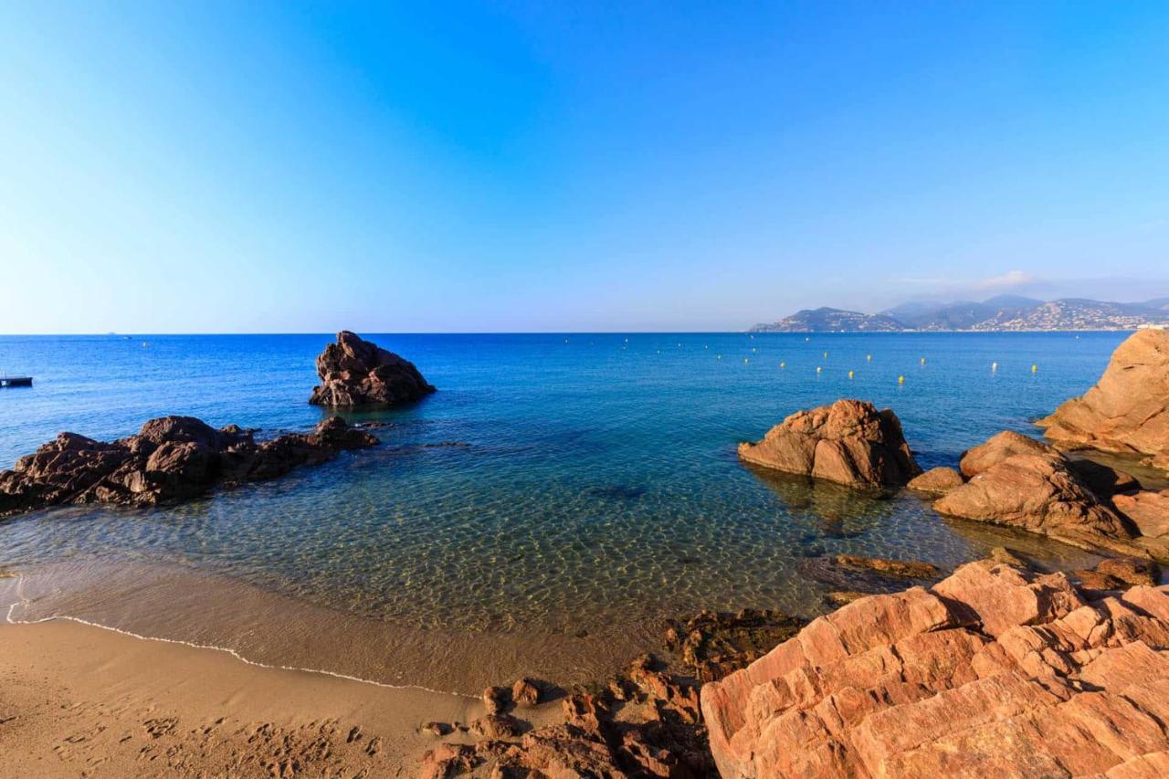 A 10 Min De La Croisette - Pieds Dans La Mer Канны Экстерьер фото